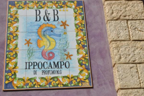 Ippocampo B&B, Licata